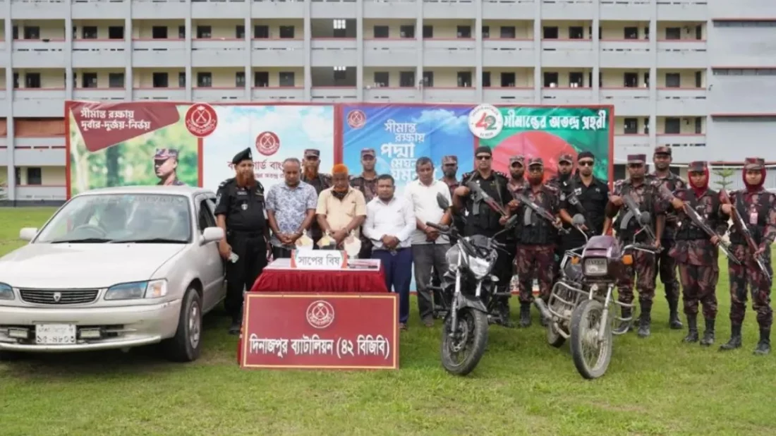 দিনাজপুর সীমান্তে ৩৮ কোটি টাকা মূল্যের সাপের বিষ জব্দ, আটক ৪
